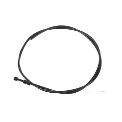 ���� ��������� 2131 ������ � �����