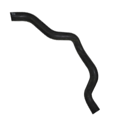 �������� ��������� X-Ray ��. P4M, P4P ��������� �������� ������ � �����