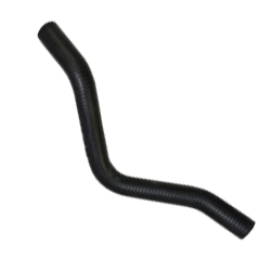 ����� ��������� X-Ray ��. P4M, P4P ���������� �������� ������ � �����