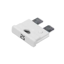 �������������� ��������� 25 �, Cargen ������ � �����